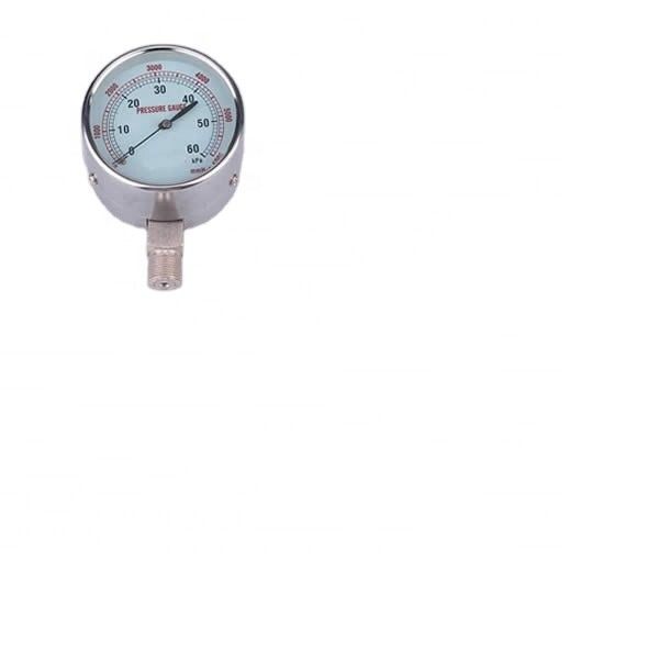 316 Минимальный тип из нержавеющей стали Коррозионно устойчивый SS Case Pressure Gauge
